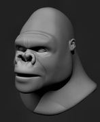 Digitized Model of Kong's Head